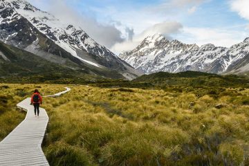 nz-future-travel